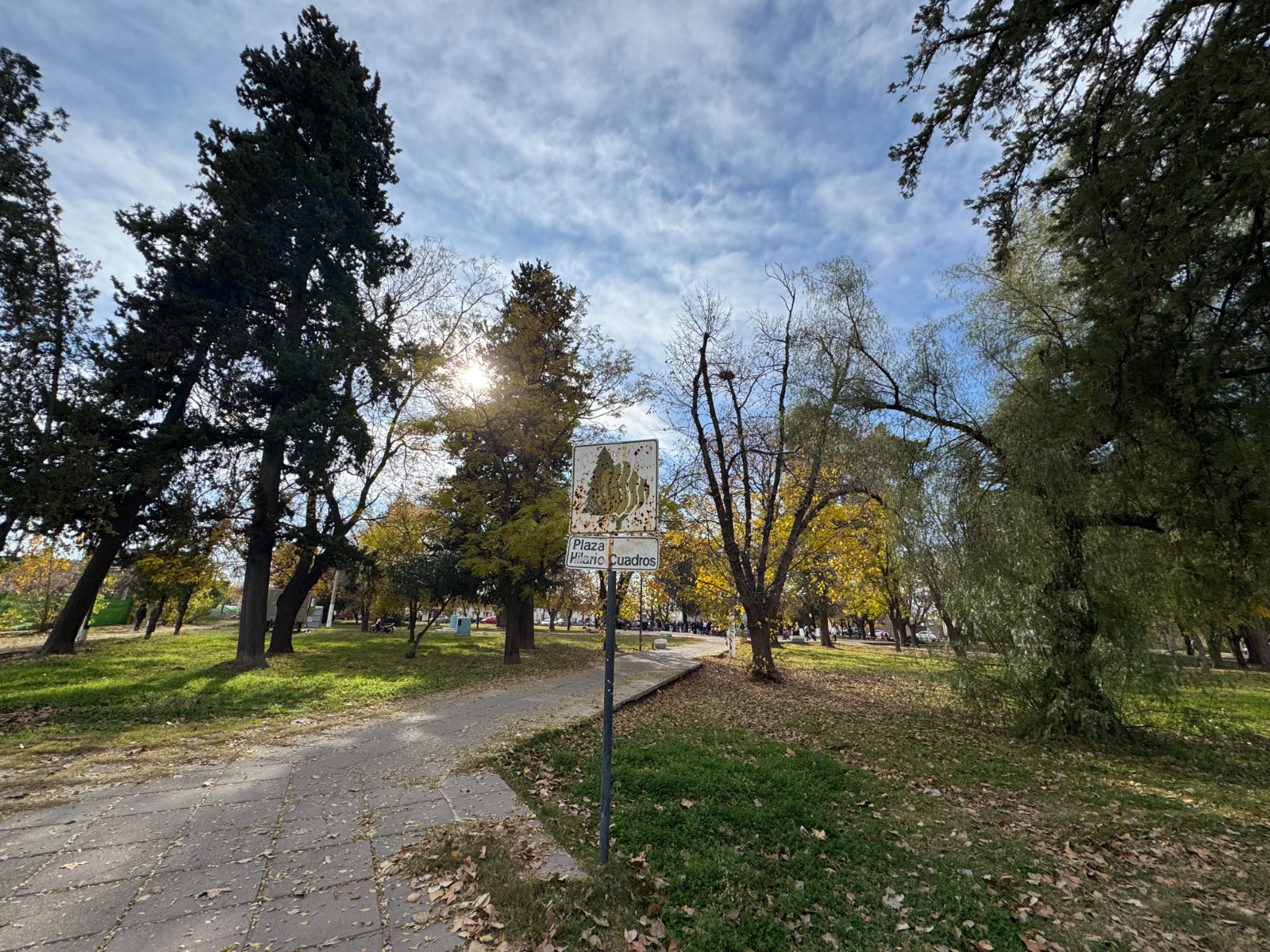 Imagen de la tarjeta